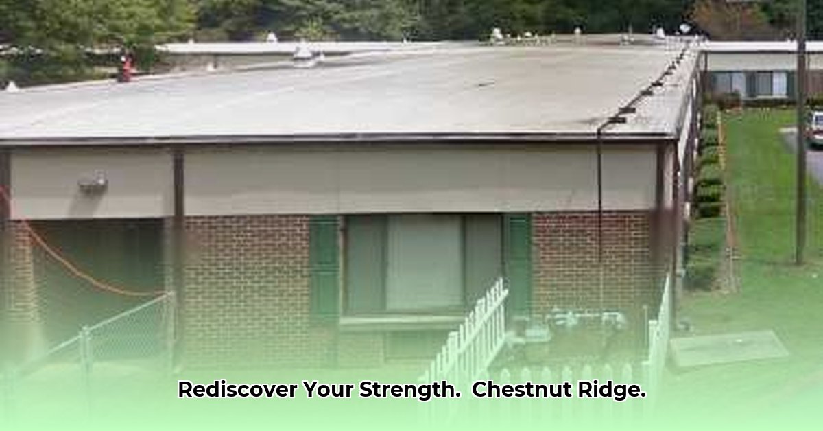 chestnut-ridge-nursing